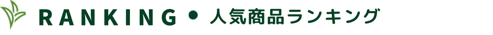 人気ランキング