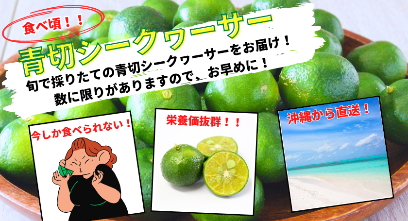 青切シークヮーサー