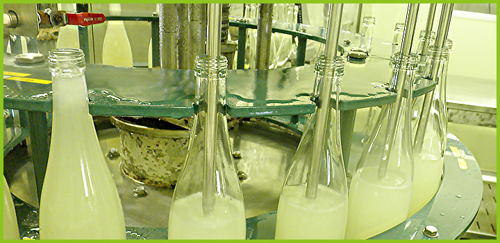 アロエベラ瓶詰め