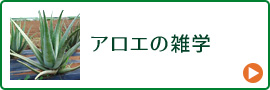 アロエの雑学
