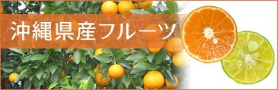 沖縄県産フルーツ