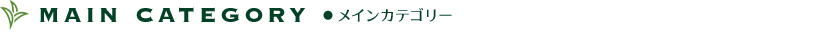 メインカテゴリー