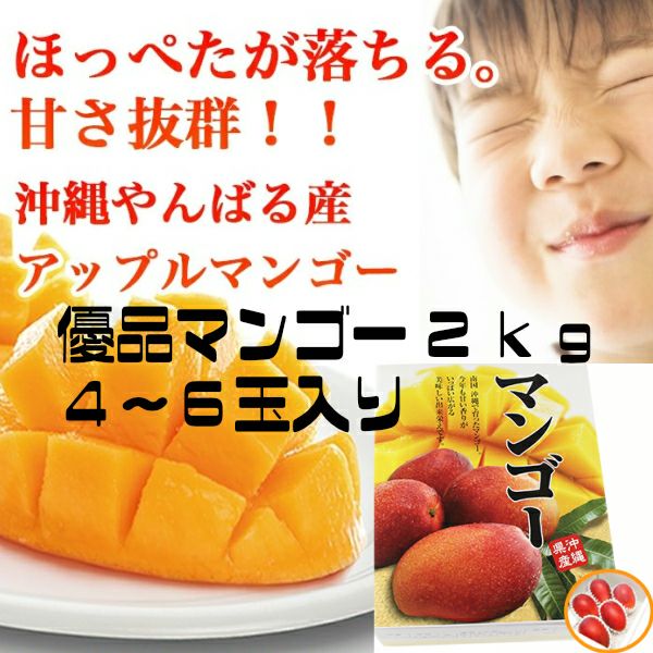 マンゴー果実 | 沖縄アロエオンラインショップ