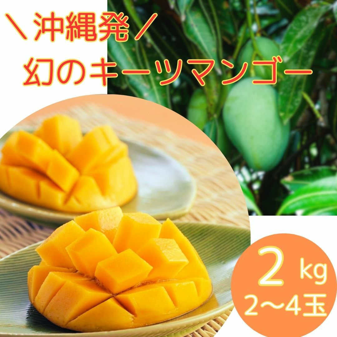 マンゴー果実 | 沖縄アロエオンラインショップ