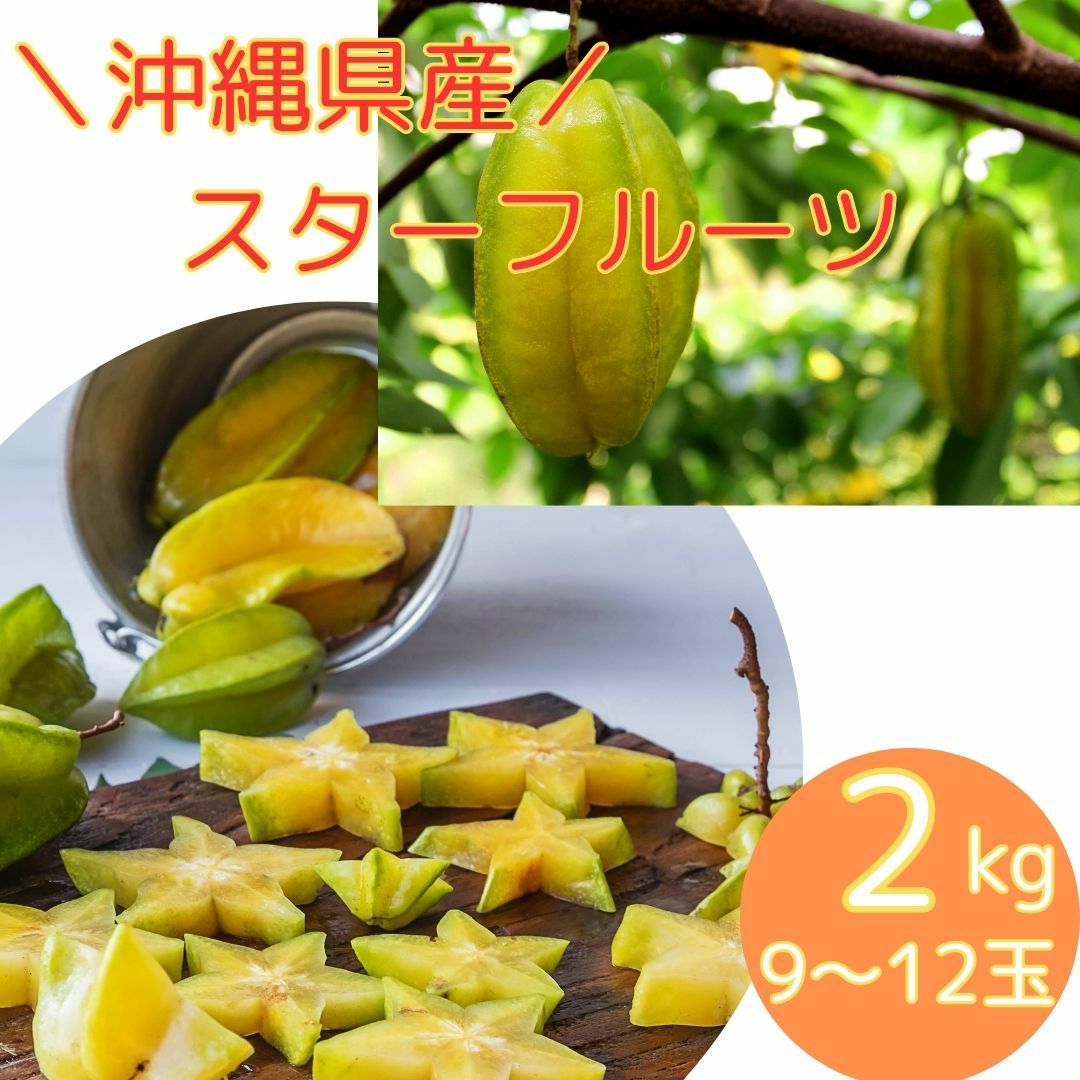 沖縄県産 スターフルーツ 2kg 9～12玉 送料無料 | 沖縄アロエ