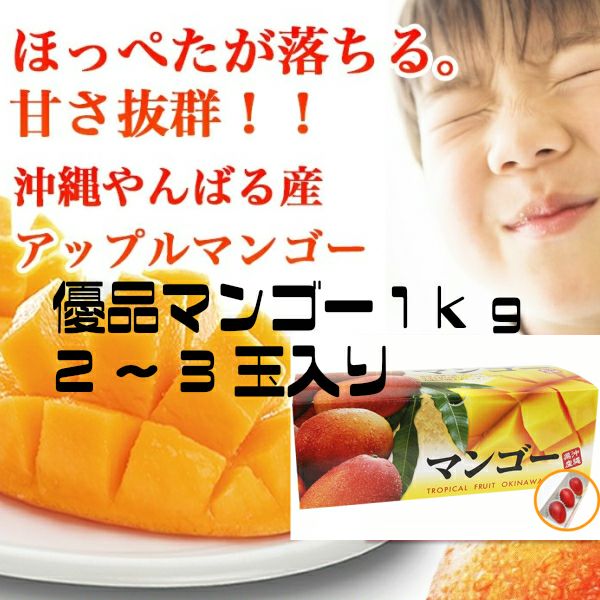 マンゴー果実 | 沖縄アロエオンラインショップ